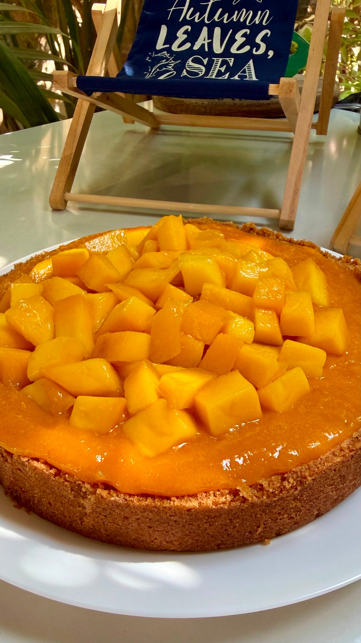 Mango CheeseCake (19cm (limited edition) by order)