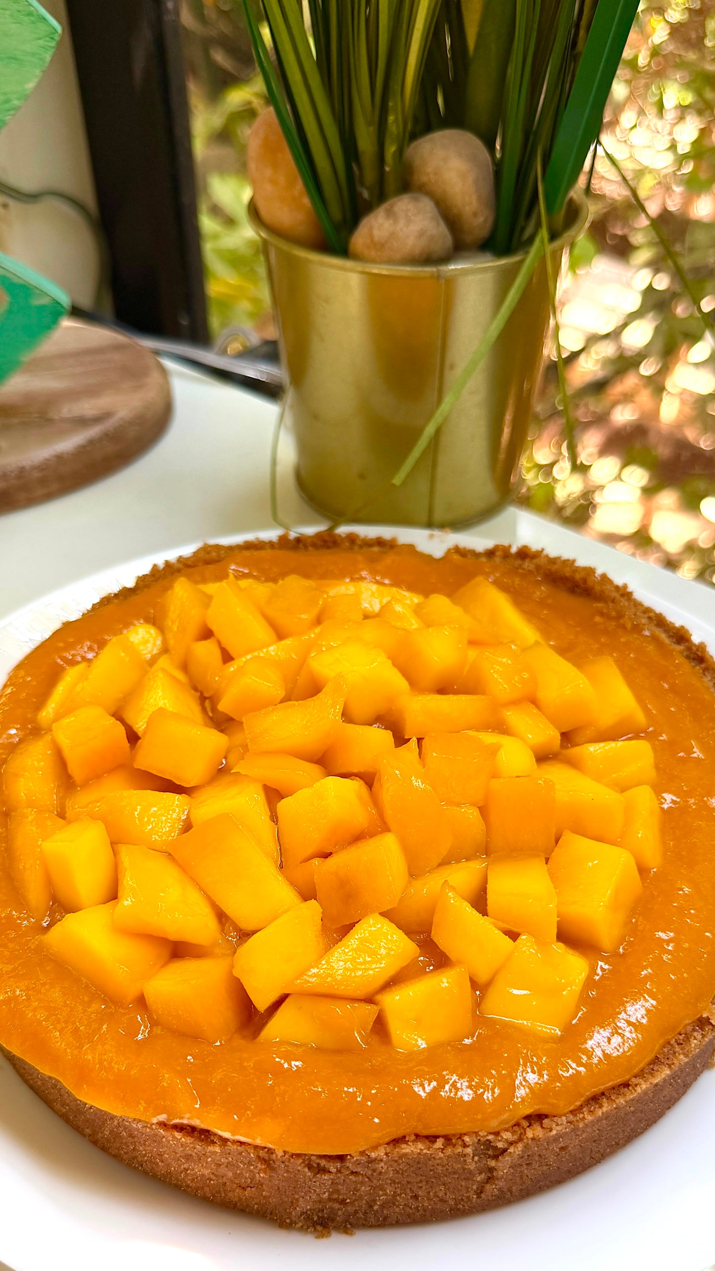 Mango CheeseCake (19cm (limited edition) by order)